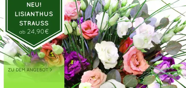1632391956 402 For mom flowers for Mothers Day - For mom: flowers for Mother's Day