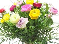 1632395634 591 Decorate colorfully with spring flowers flowers roses - Decorate colorfully with spring flowers flowers & roses