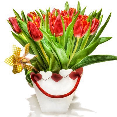 1632399359 888 Gifts products with roses tulips - Gifts & products with roses & tulips