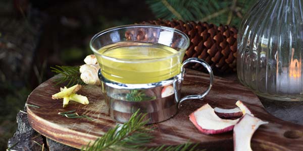 Spruce Punch Recipe - Herbal Hunter Herbal Kitchen