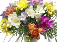 Decorate colorfully with spring flowers flowers roses - Decorate colorfully with spring flowers flowers & roses